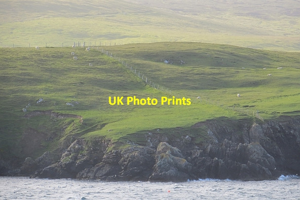 Photo 6"x4" Coastal pasture,Bressay Lerwick c2013