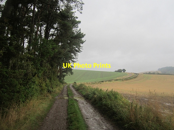 Photo 6"x4" Farm road, Kilmany Kilmany c2013