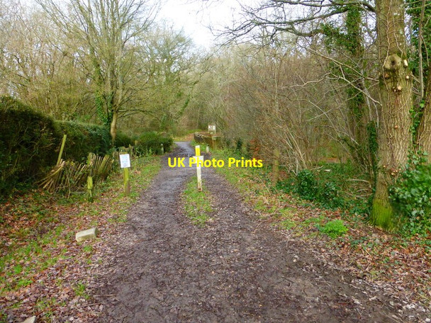 Photo 6"x4" The footpath to Broad Oak Bridge from the south Broad Oak\/SU7551 c2013