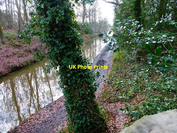 Photo 6"x4" The Basingstoke Canal looking west from Baseley's Bridge Winchfield c2013