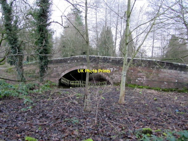 Photo 6"x4" Newbiggin Bridge Newbiggin\/NY6228 c2013