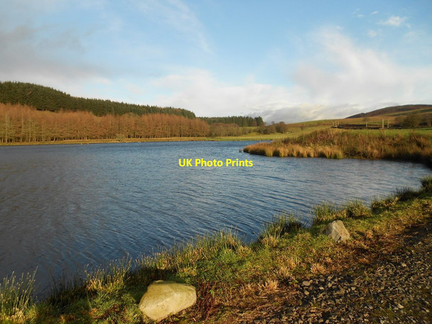 Photo 6"x4" Shancastle , Moniaive Kirkland\/NX8090 c2013