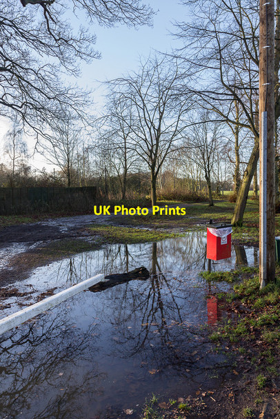 Photo 6"x4" Flooding, Trent Park, Cockfosters, Hertfordshire East Barnet c2013
