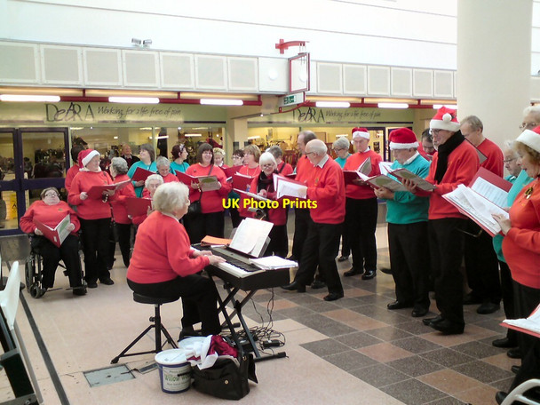 Photo 6"x4" Yew Tree Singers Hyde\/SJ9494 c2013