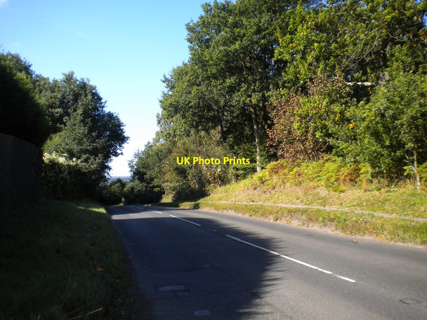 Photo 6"x4" The summit of Burntstump Hill Blidworth Dale c2013