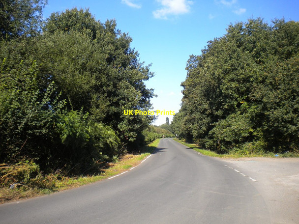Photo 6"x4" Rigg Lane near Sansom Wood Blidworth Dale c2013