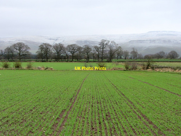 Photo 6"x4" Arable land south-east of Culgaith Culgaith c2013