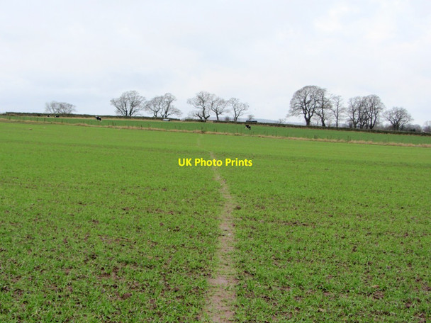 Photo 6"x4" Footpath to Culgaith Culgaith c2013
