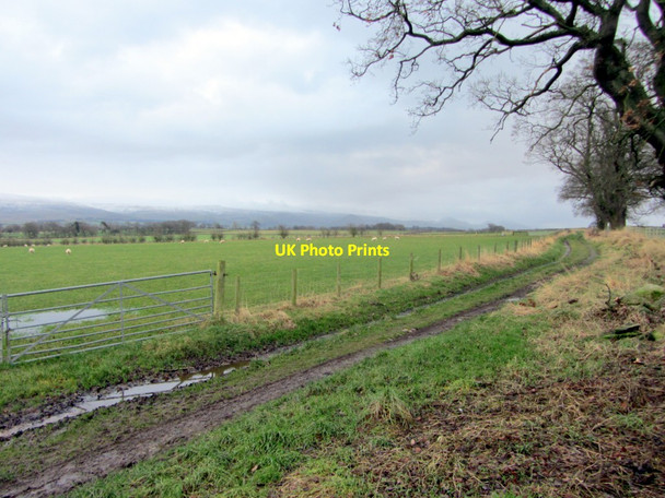 Photo 6"x4" Track east of Culgaith Culgaith c2013