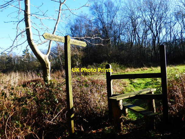 Photo 6"x4" Looking across stile on top of Waltham Down Upwaltham c2013
