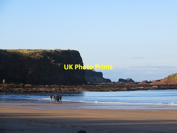 Photo 6"x4" Beach, Seacliff Blackdykes\/NT5883 c2013