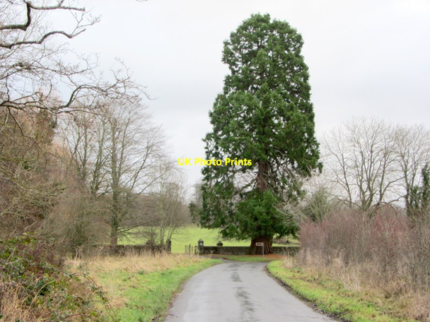 Photo 6"x4" Road at entrance to Acorn Bank Newbiggin\/NY6228 c2013