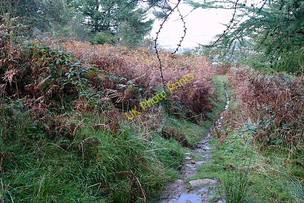 Photo 6"x4" Descent from Gethin forest Abercanaid c2008