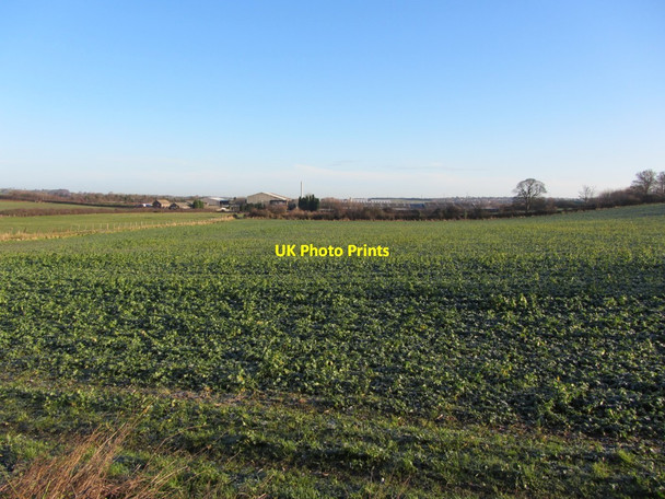 Photo 6"x4" Arable fields north of Drove Road Throckley c2013