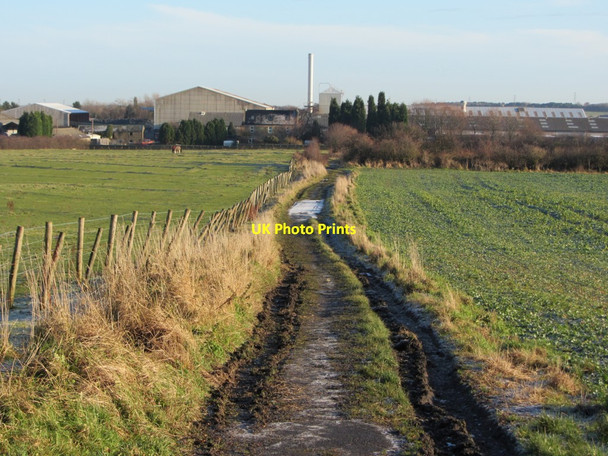 Photo 6"x4" Track to Throckley North Farm and Brickworks Throckley c2013
