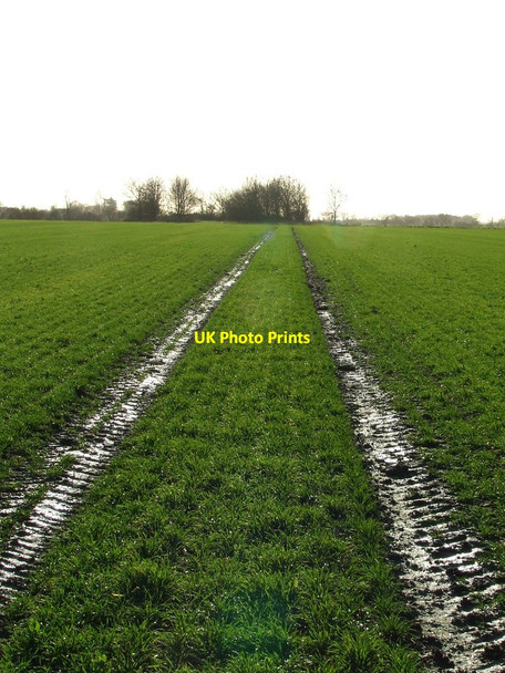Photo 6"x4" Muddy Tractor Tracks Framlingham c2013
