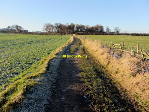 Photo 6"x4" Track east of Drove Road Throckley c2013