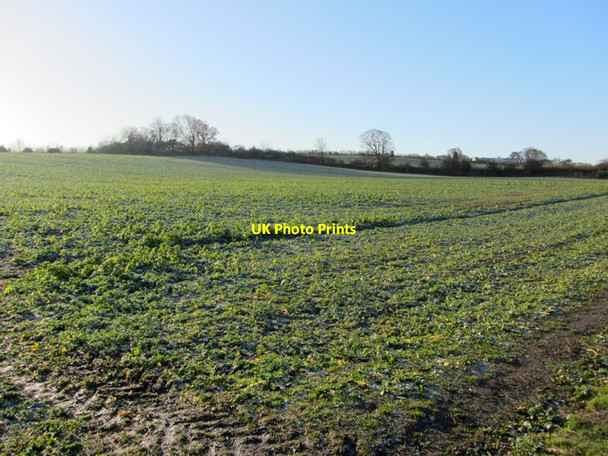 Photo 6"x4" Arable field near Throckley North Farm Throckley c2013 P1