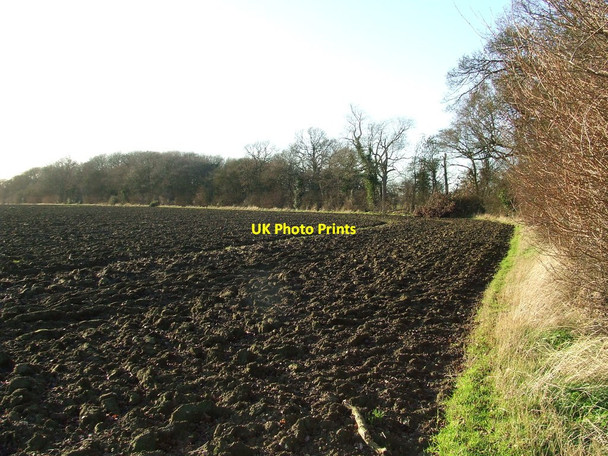 Photo 6"x4" Ploughed Field Saxtead Green c2013 P1