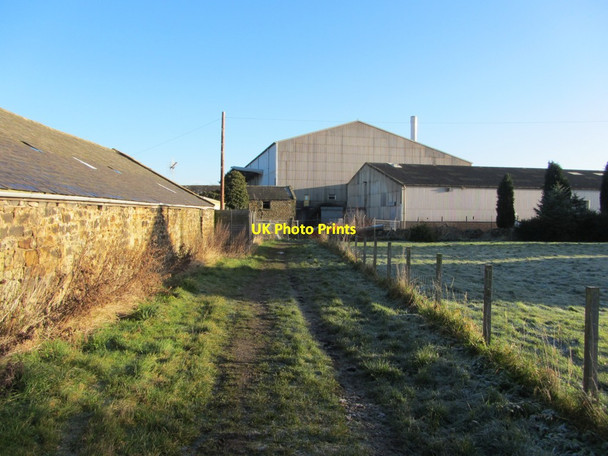 Photo 6"x4" Throckley North Farm Throckley c2013