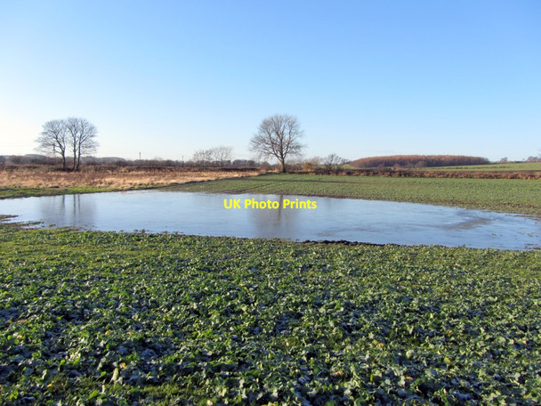 Photo 6"x4" Flooded field south-east of Crescent Farm Callerton c2013