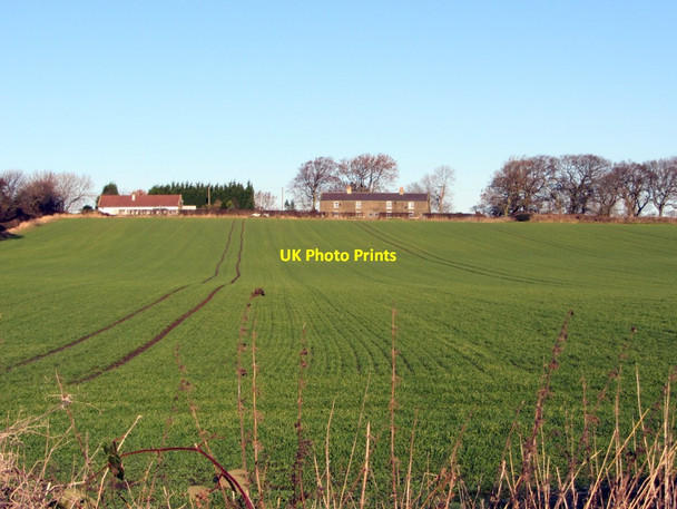 Photo 6"x4" Callerton Lane End, Stamfordham Road Callerton Lane End c2013