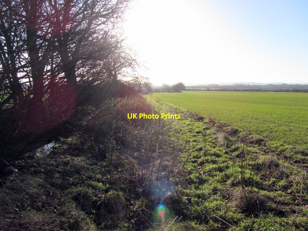Photo 6"x4" Field boundary south of Callerton Lane End Callerton Lane End c2013