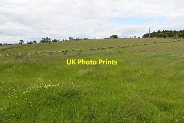 Photo 6"x4" Grass crop near Mains of Altries Kirkton of Maryculter c2013