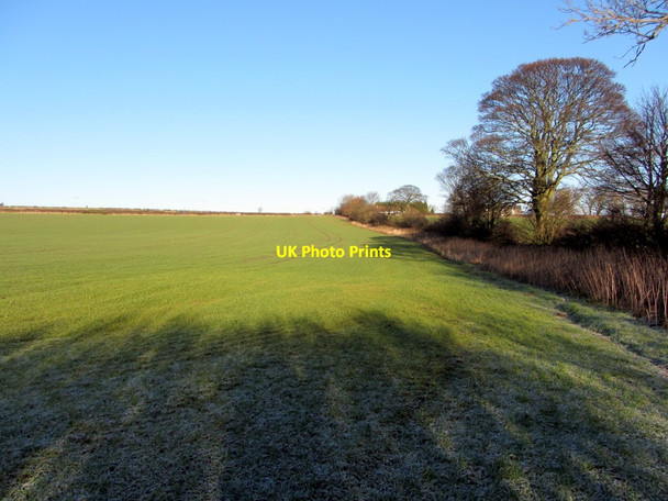 Photo 6"x4" Arable field south of Callerton Lane End Callerton Lane End c2013