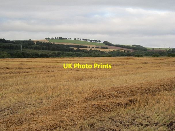 Photo 6"x4" Stubble, Preston Preston\/NT7957 c2013