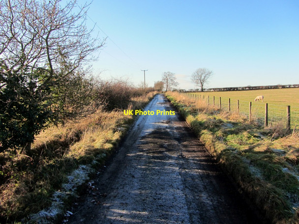 Photo 6"x4" Birks Road west of West Woodside Farm Bank Top\/NZ1466 c2013