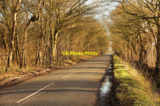 Photo 6"x4" Spalford Road Spalford c2013