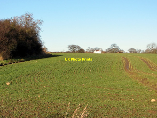 Photo 6"x4" Arable field south of West Woodside Farm Bank Top\/NZ1466 c2013