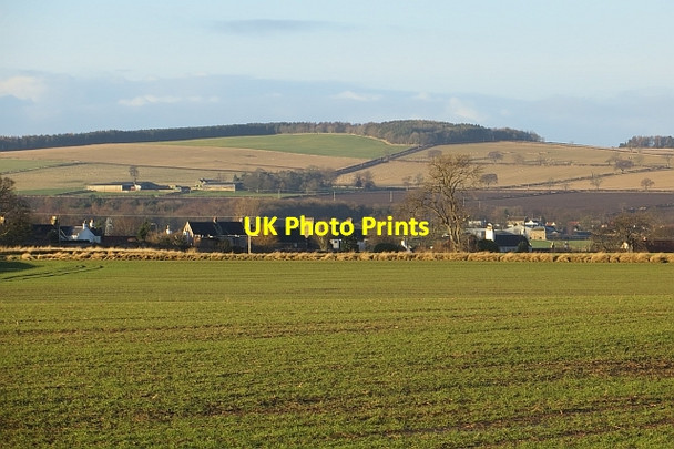 Photo 6"x4" Winter cereals near Pathhead Pathhead\/NT3964 c2013