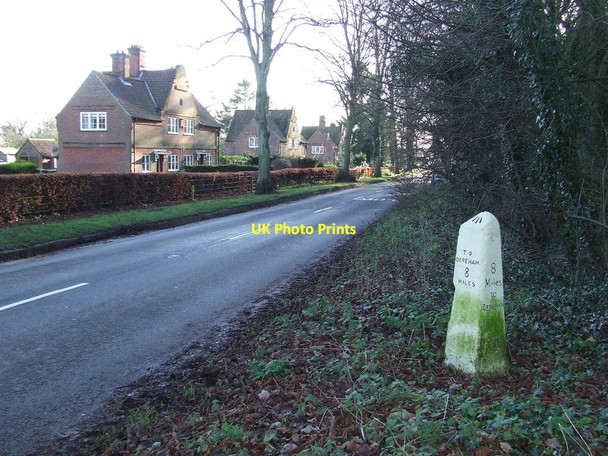 Photo 6"x4" To Dereham 8 Guist c2013