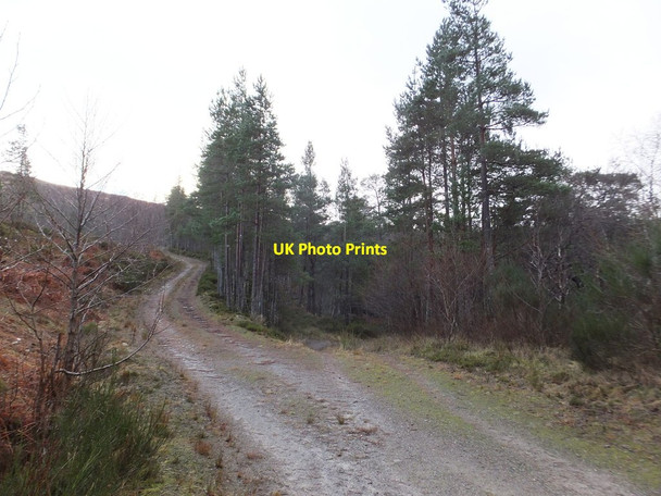 Photo 6"x4" Track Junction Kinlochewe c2013