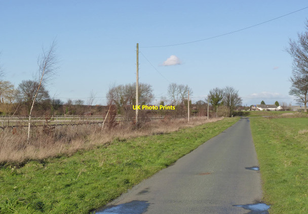 Photo 6"x4" Sheepwash Lane Whitley\/SE5621 c2013