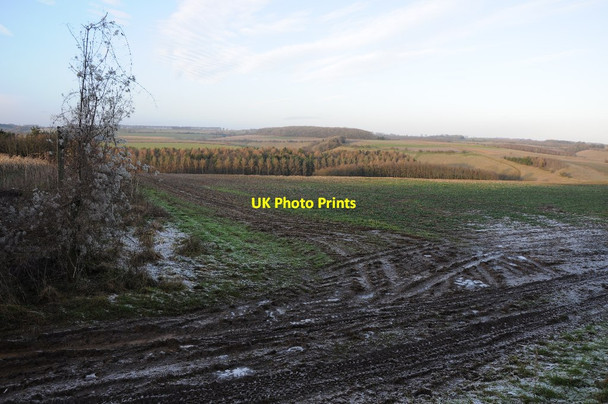 Photo 6"x4" Winter farmland Cold Aston c2013