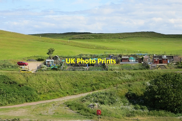 Photo 6"x4" Allotments, Torry Balnagask c2013