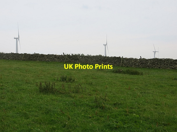 Photo 6"x4" Field, Coldingham Moor Grantshouse c2013