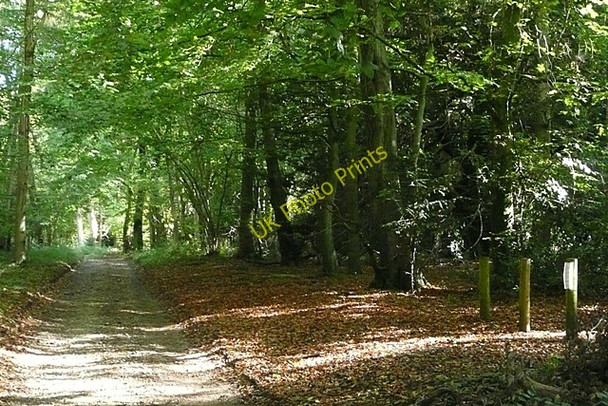 Photo 6"x4" Ipsden Heath Well Place c2008 P1