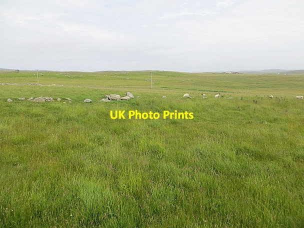 Photo 6"x4" Field, Vesquoy Mid Walls c2013