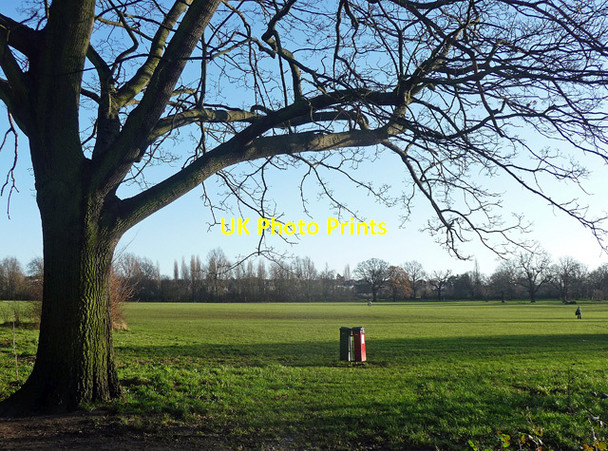 Photo 6"x4" Tooting Bec Common (2) Streatham c2013