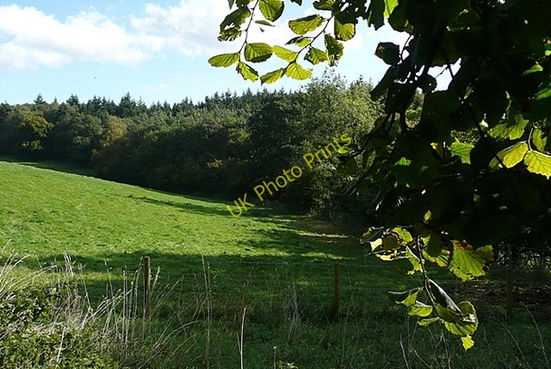 Photo 6"x4" Near Ipsden Heath Well Place c2008