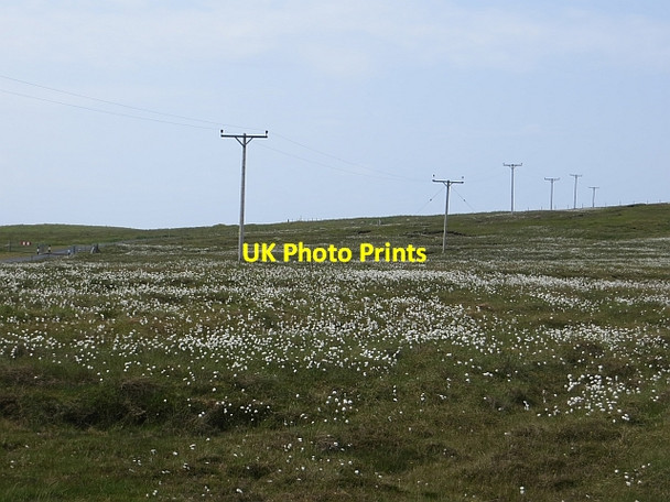 Photo 6"x4" Bog near Sung Dale of Walls c2013