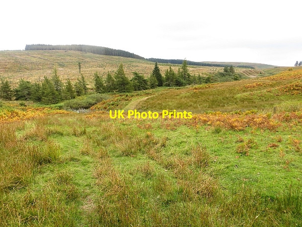 Photo 6"x4" Blindhaugh Burn Langhope\/NT4220 c2013