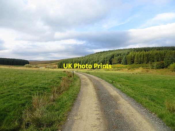 Photo 6"x4" Road out of Outer Huntly Wollrig c2013