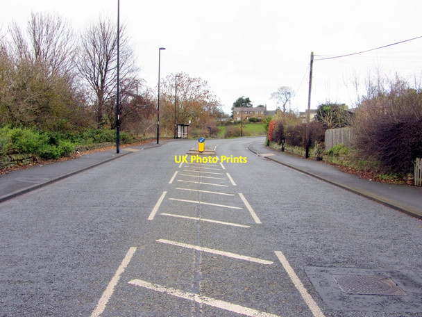 Photo 6"x4" Walbottle Road, near Dene Terrace Ryton\/NZ1564 c2013