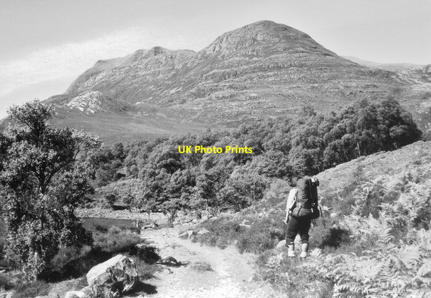 Photo 6"x4" By the shore of Loch Maree Anancaun c1978