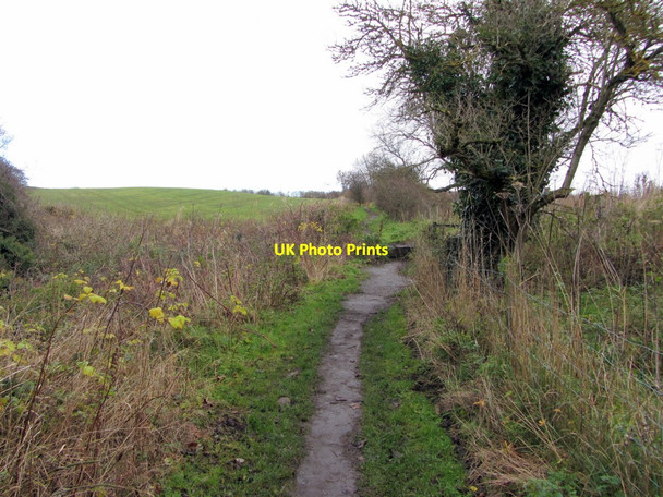 Photo 6"x4" Path east of Walbottle Road Ryton\/NZ1564 c2013